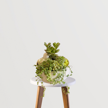 Premium garden delight gift set